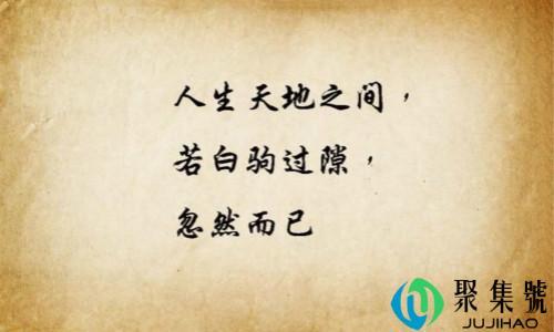 人生看透了就没意思了是什么意思