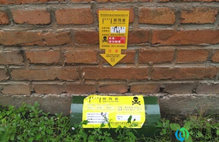 毒饵站是什么意思