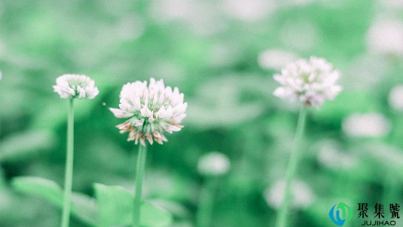 人若反常必有刀的意思