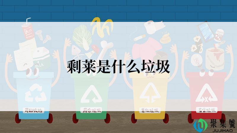 剩莱是什么垃圾