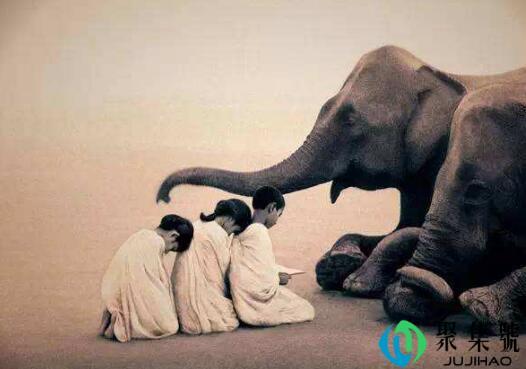 菩萨心肠金刚手段是什么意思