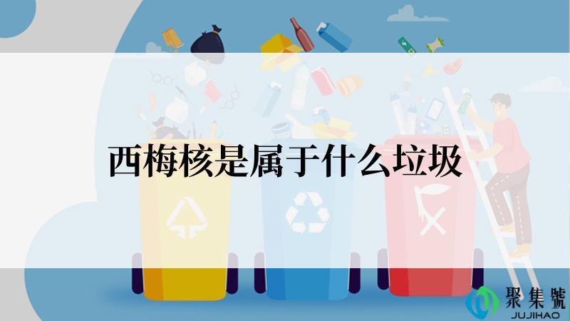 西梅核是属于什么垃圾