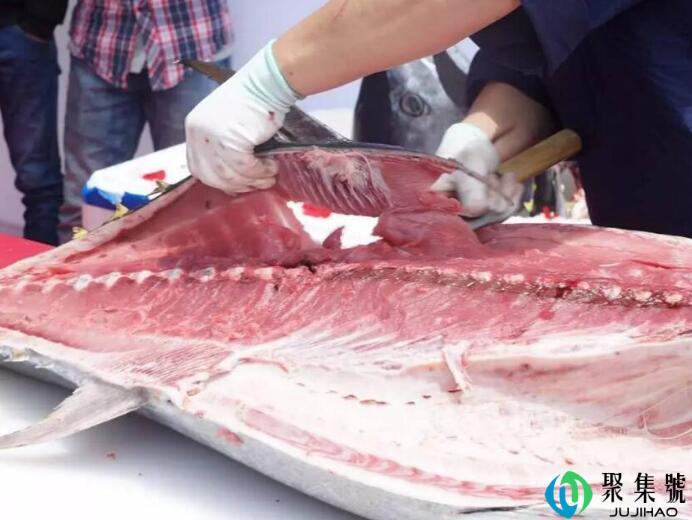 蓝鳍和黄鳍的外观区别