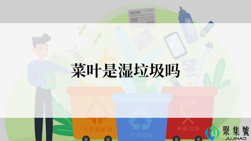 菜叶是湿垃圾吗