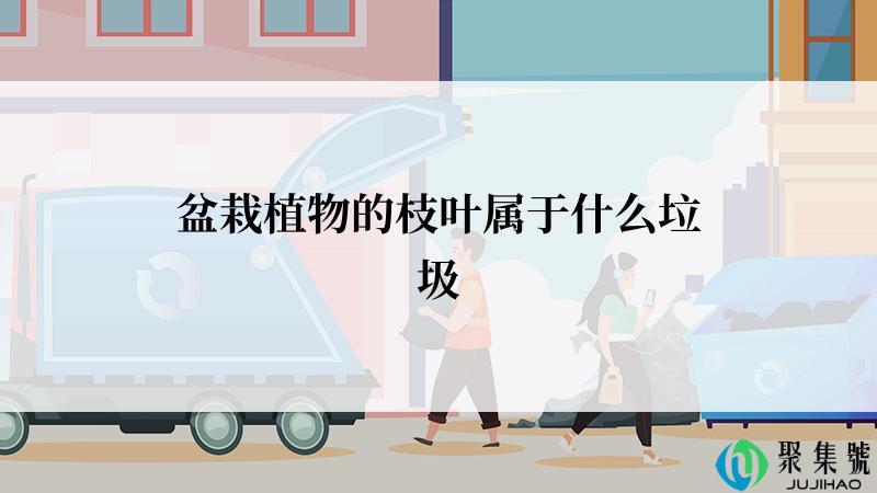 盆栽植物的枝叶属于什么垃圾