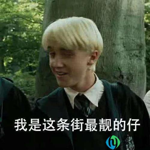 我就是这条街最靓的仔是什么梗