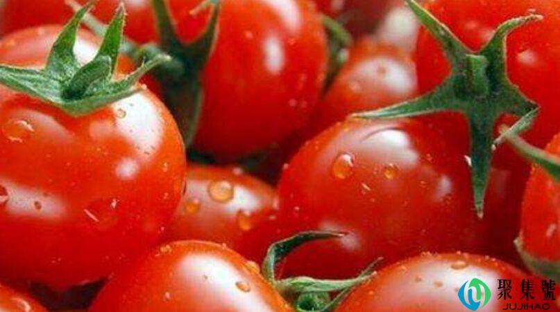 没长熟的西红柿能吃吗