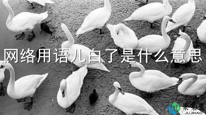 儿白了是什么意思