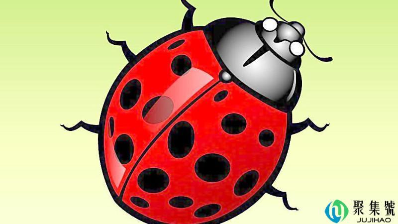 七星瓢虫被称作什么