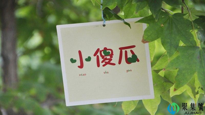 afool是什么意思中文