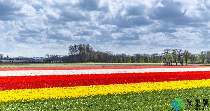 义乌特产有哪些能带走