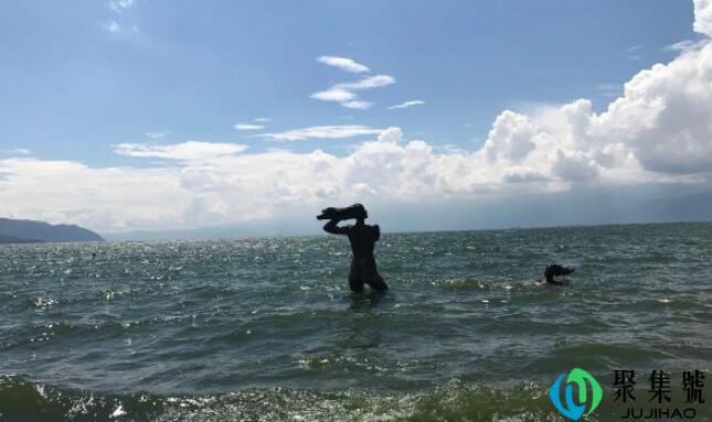 海的女儿是什么意思梗