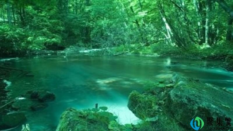 林密知夏深是什么意思