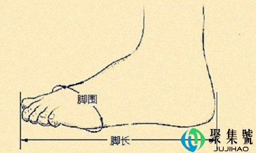 脚长身高公式