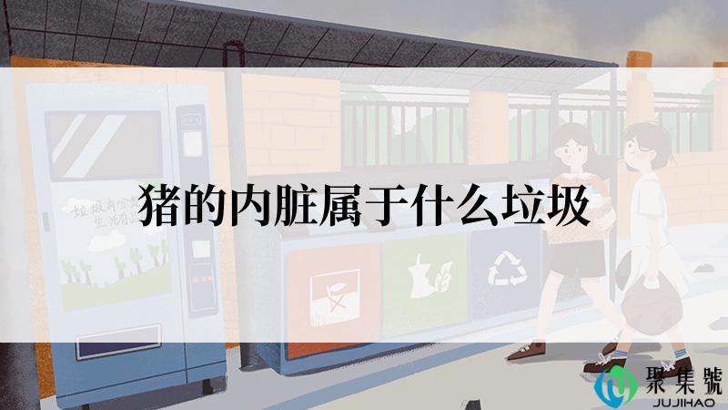 猪的内脏属于什么垃圾