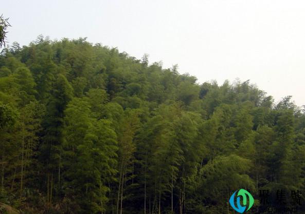 季风气候的特点