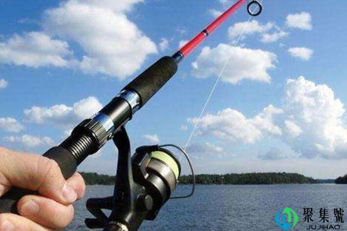 野钓鲫鱼4号袖还是5号袖