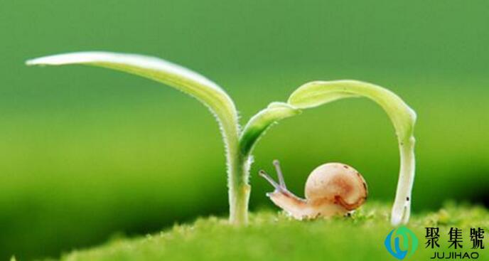 改过不吝从善如流是什么意思