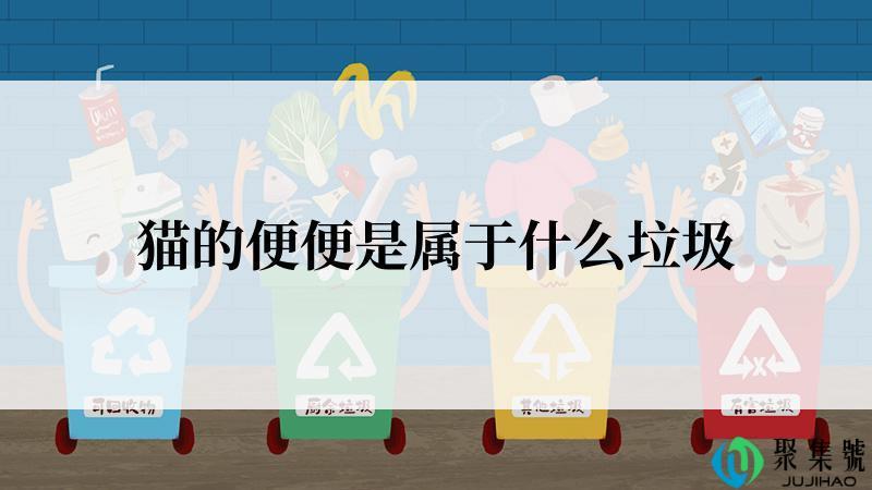 猫的便便是属于什么垃圾