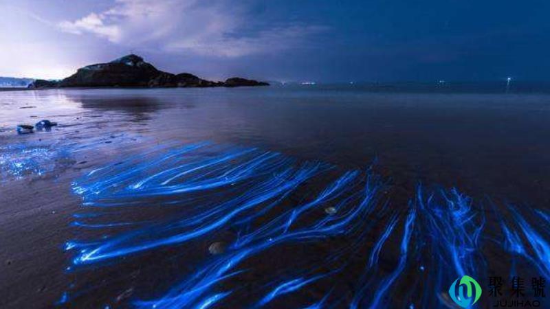 平潭蓝眼泪出现的月份