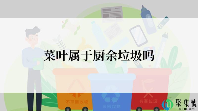 菜叶属于厨余垃圾吗