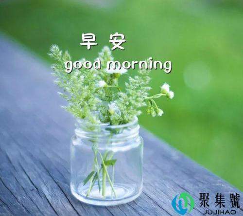 坚持每天说早安的意义