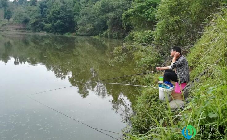 野钓一般3号袖钩还是4号袖钩