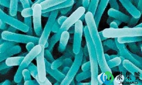 李斯特菌怎么消灭