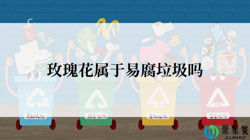 玫瑰花属于易腐垃圾吗