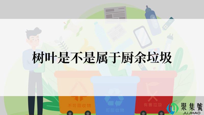 树叶是不是属于厨余垃圾