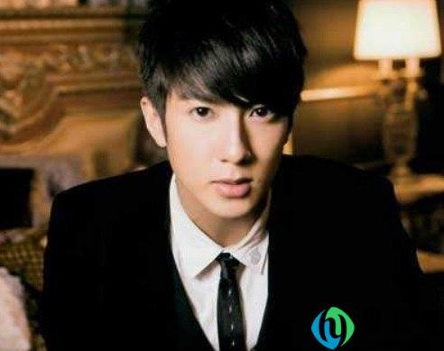 wdcc什么意思饭圈