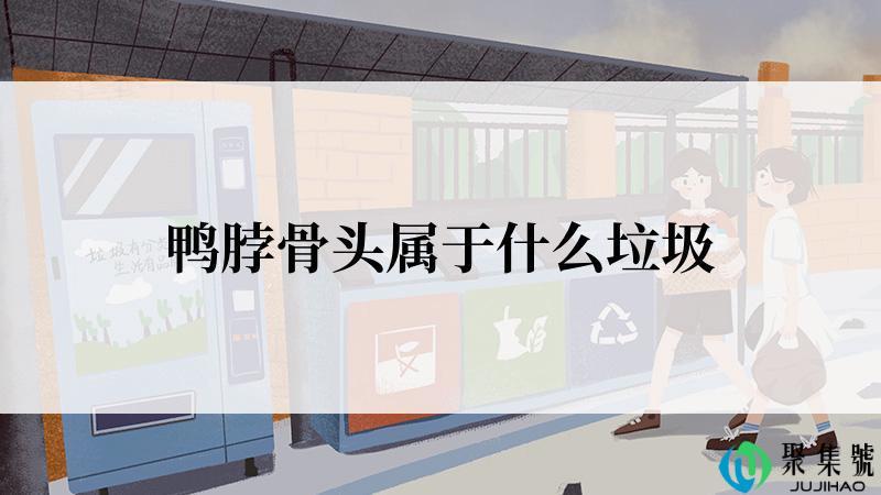 鸭脖骨头属于什么垃圾