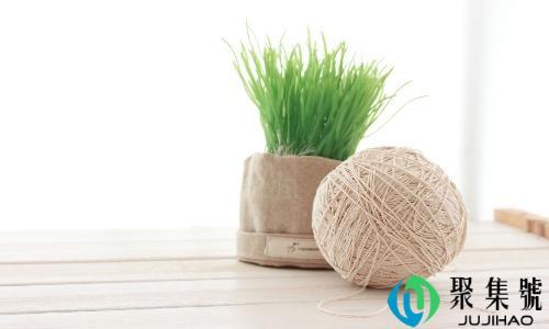 小k斯是什么意思