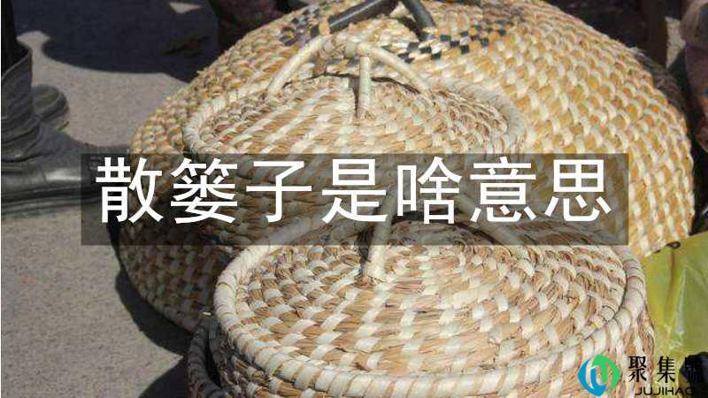 散篓子是啥意思