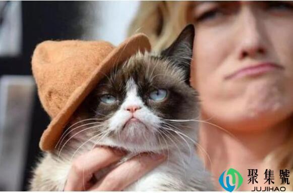 笑点高和笑点低是什么意思