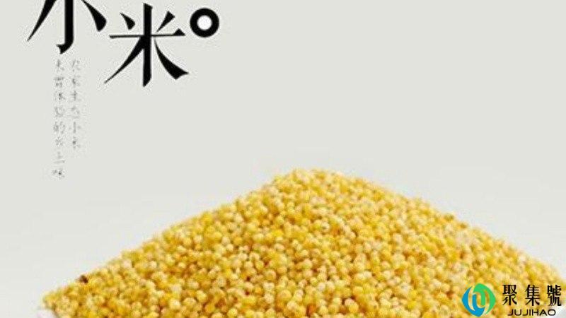 小米生虫了还能吃吗