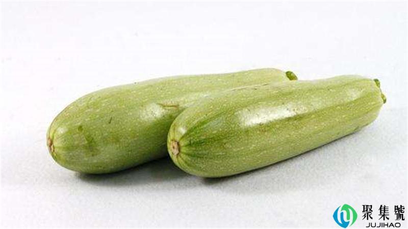 笋瓜和西葫芦区别是什么