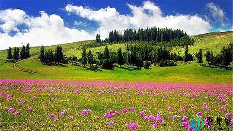 那拉提什么意思