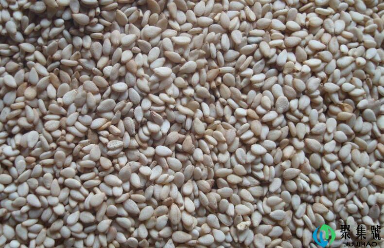 糠麻和油麻的区别