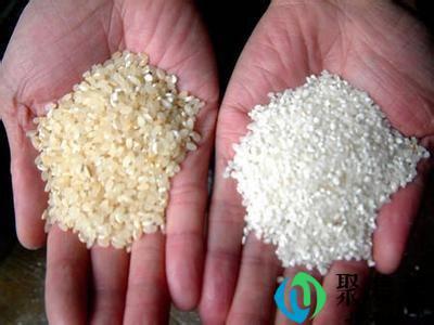 米发黄了还能吃吗