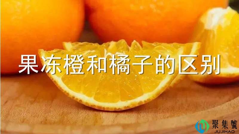 果冻橙和橘子的区别