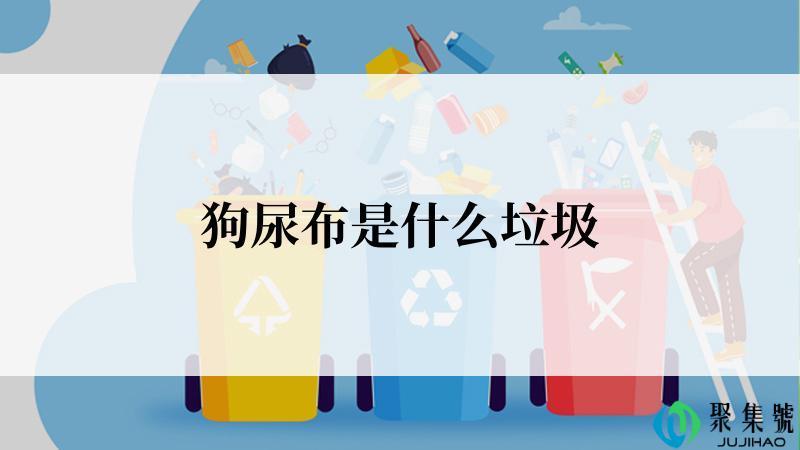 狗尿布是什么垃圾