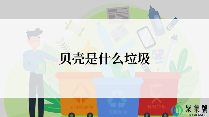 贝壳是什么垃圾