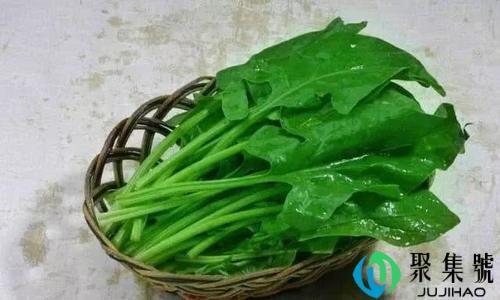 菠菜怎么摘