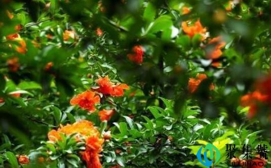 乍然离场是什么意思