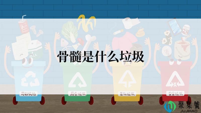 骨髓是什么垃圾