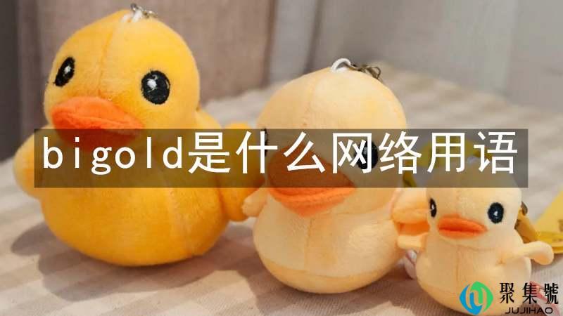 bigold是什么网络用语