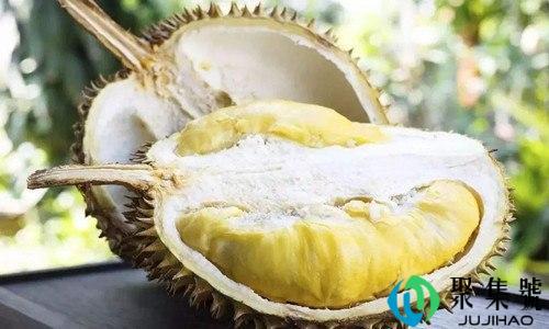 长柄猫山王和猫山王的区别