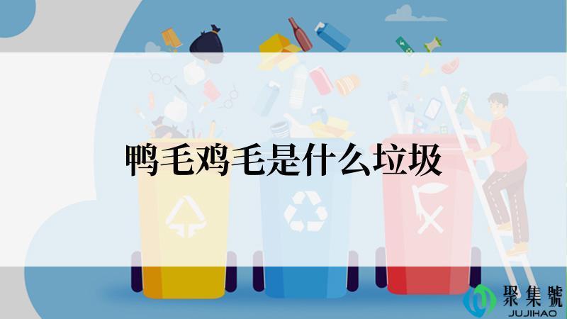 鸭毛鸡毛是什么垃圾