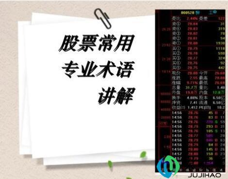 术语是什么意思